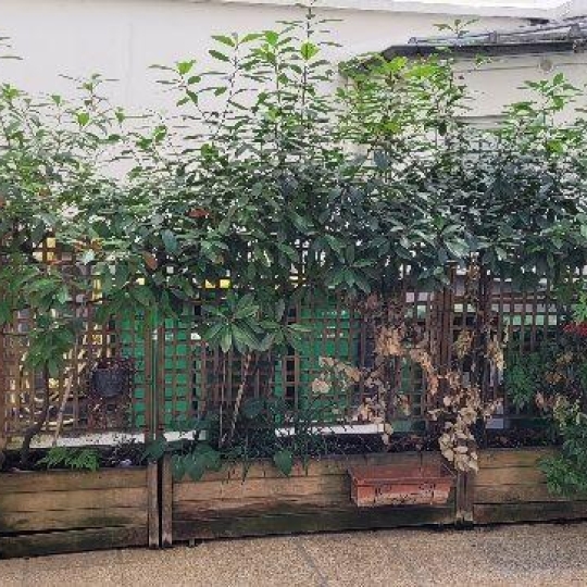 Annonces ST DENIS : Appartement | PARIS (75017) | 17 m2 | 150 000 &euro; 