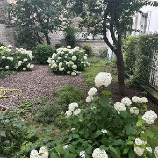  Annonces ST DENIS : Appartement | PARIS (75009) | 30 m2 | 425 000 &euro; 