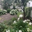  Annonces ST DENIS : Appartement | PARIS (75009) | 30 m2 | 425 000 &euro; 